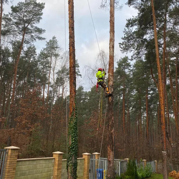 Realizacja Zaradni w Ogrodzie nr 4