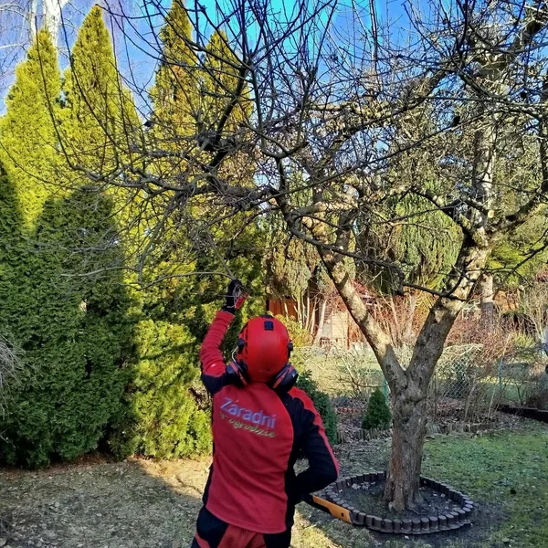 Realizacja Zaradni w Ogrodzie nr 9